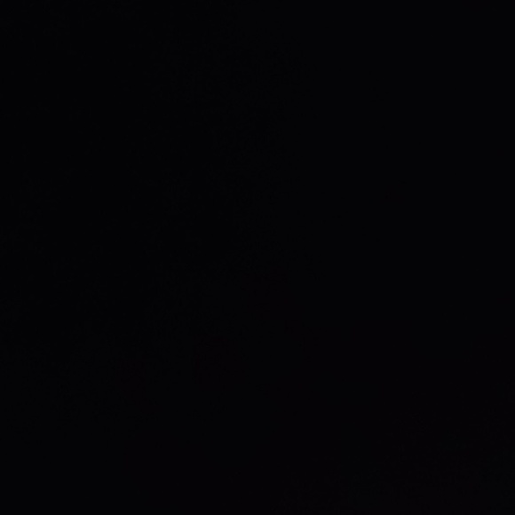 Meet your Posher, Shree - Picture 1 of 1